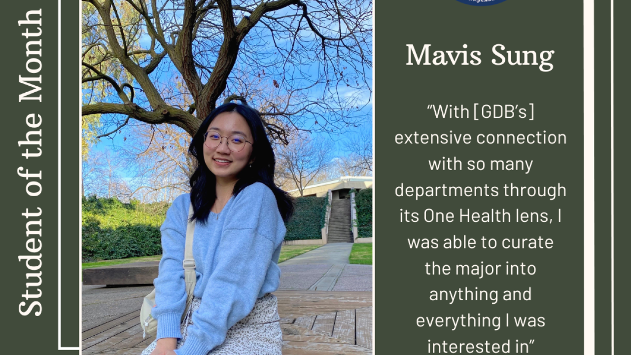 Student of the Month Mavis Sung graphic with quote
