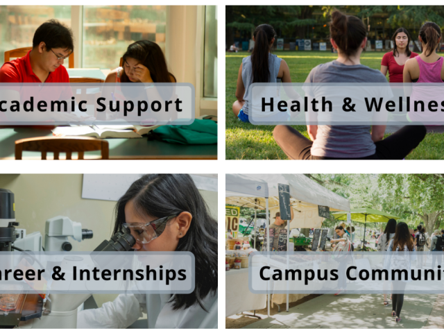 CAES FAQ Page